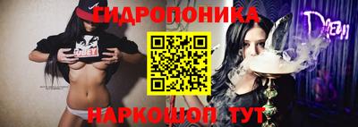 стафф Краснознаменск