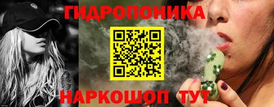 стафф Краснознаменск