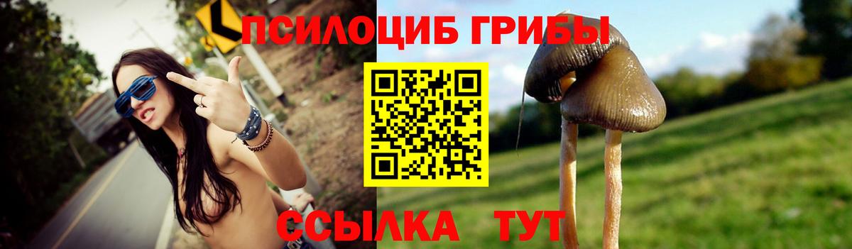 Ивантеевка  Галлюциногенные грибы Psilocybe  Вход с VPN  Галлюциногенные грибы Psilocybine cubensis 
